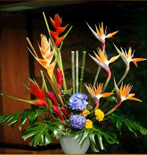 Bird of Paradise Flower Arrangement
