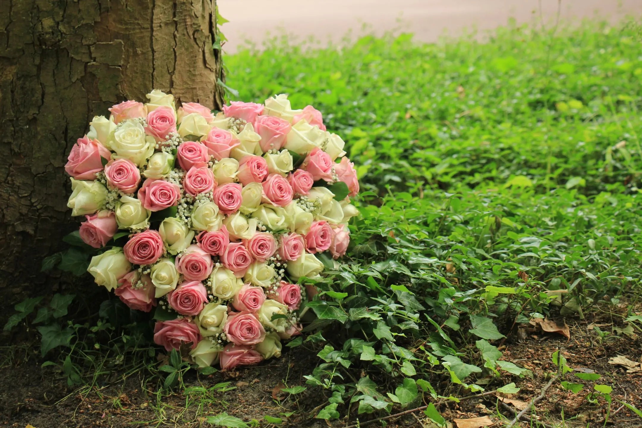 Boulevard Florist Ltd