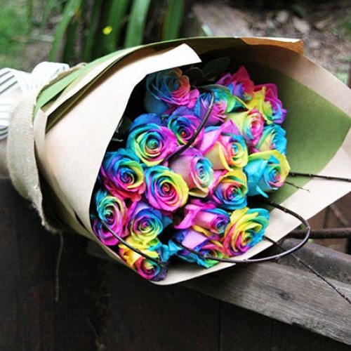 24 Rainbow Roses variety of sizes